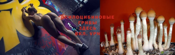 герыч Алзамай