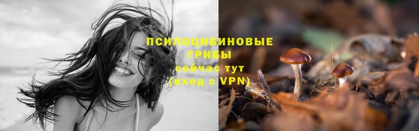 ГАЛЛЮЦИНОГЕННЫЕ ГРИБЫ Алексин