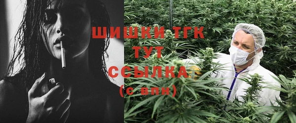 ГАЛЛЮЦИНОГЕННЫЕ ГРИБЫ Алексин