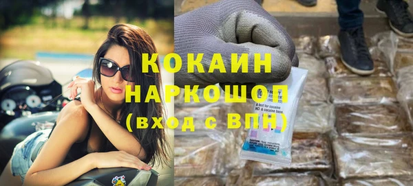 гашик Алексеевка