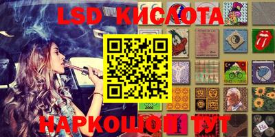 прущие грибы Кунгур