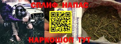 прущие грибы Кунгур