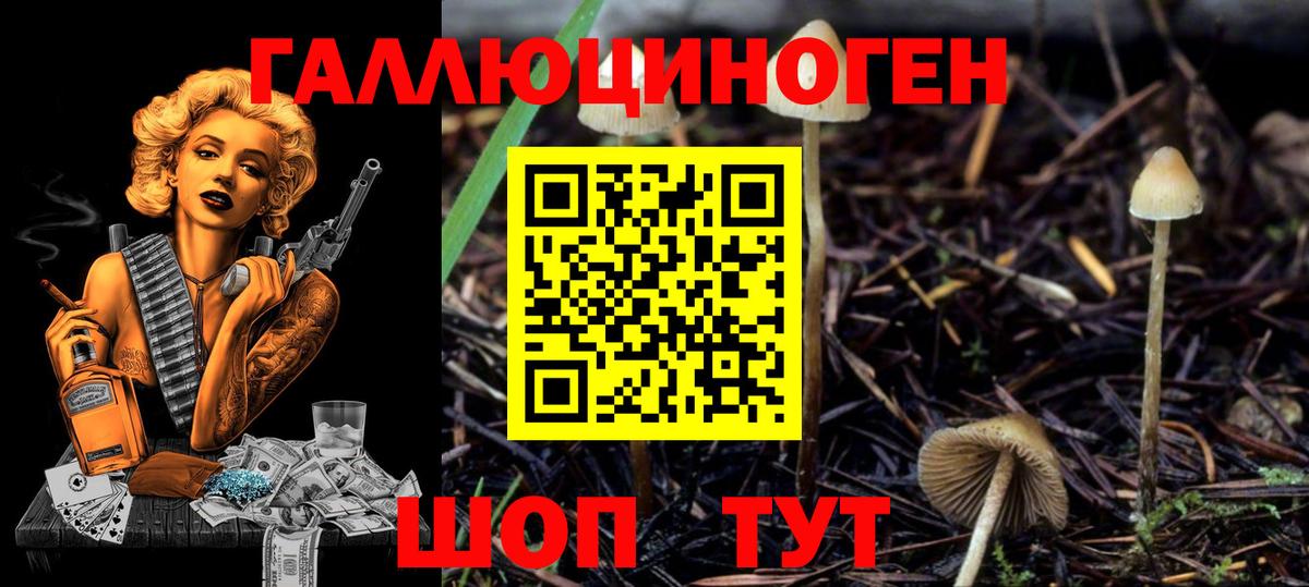 Галлюциногенные грибы ЛСД Глазов